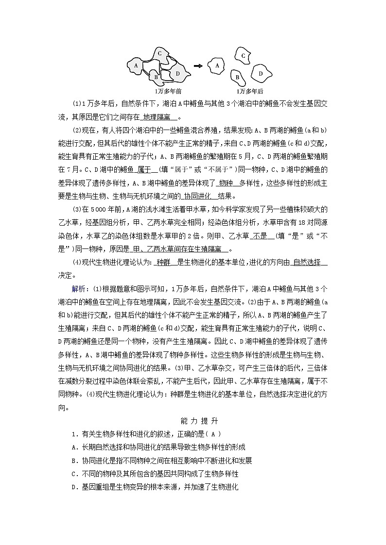 新教材适用2023_2024学年高中生物第6章生物的进化第4节协同进化与生物多样性的形成夯基提能作业新人教版必修203