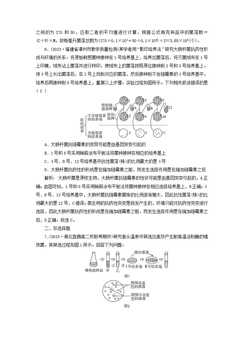 新教材适用2023_2024学年高中生物第1章发酵工程第2节微生物的培养技术及应用第2课时微生物的选择培养和计数夯基提能作业新人教版选择性必修3第3页