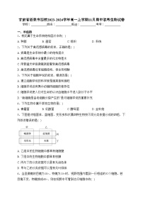 甘肃省酒泉市四校2023-2024学年高一上学期11月期中联考生物试卷(含答案)