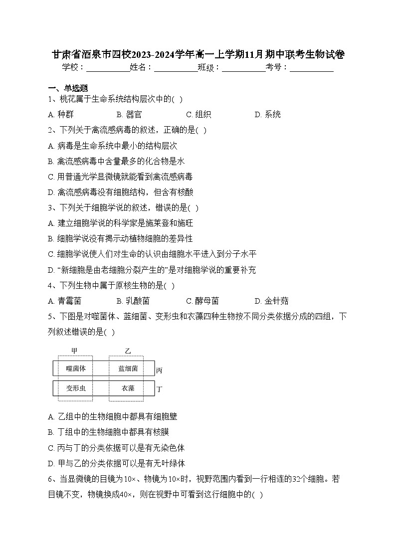 甘肃省酒泉市四校2023-2024学年高一上学期11月期中联考生物试卷(含答案)01