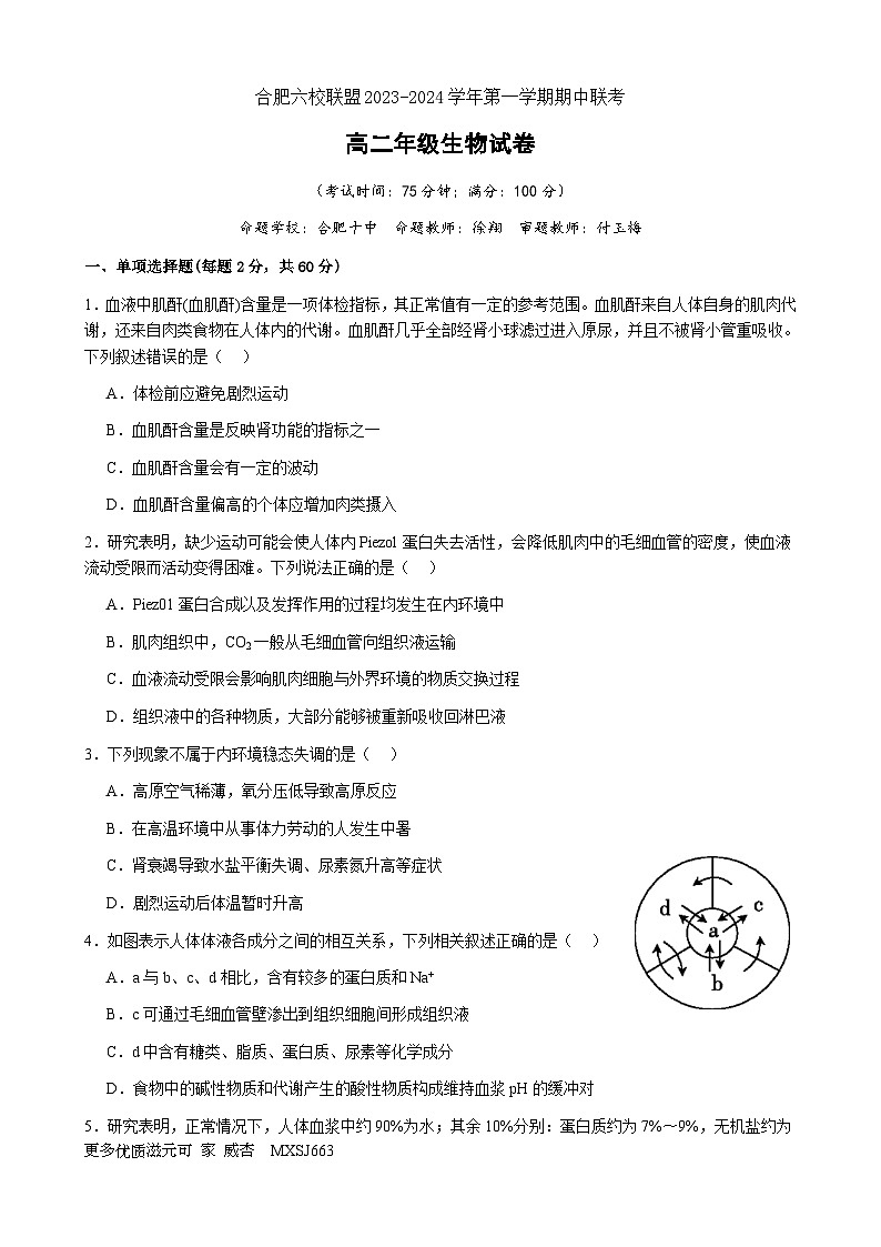 安徽省合肥六校2023-2024学年高二上学期期中联考生物试题01
