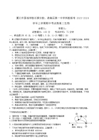 福建省泉州市泉港一中石狮外国语2023-2024学年高二上学期11月期中生物试题