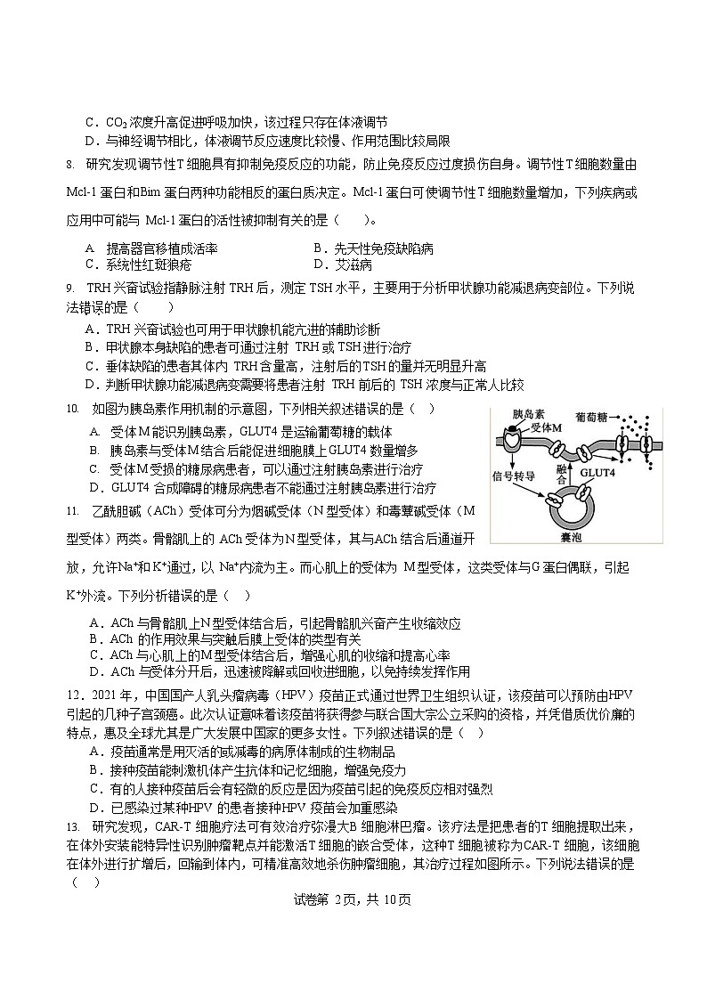福建省泉州市泉港一中石狮外国语2023-2024学年高二上学期11月期中生物试题02