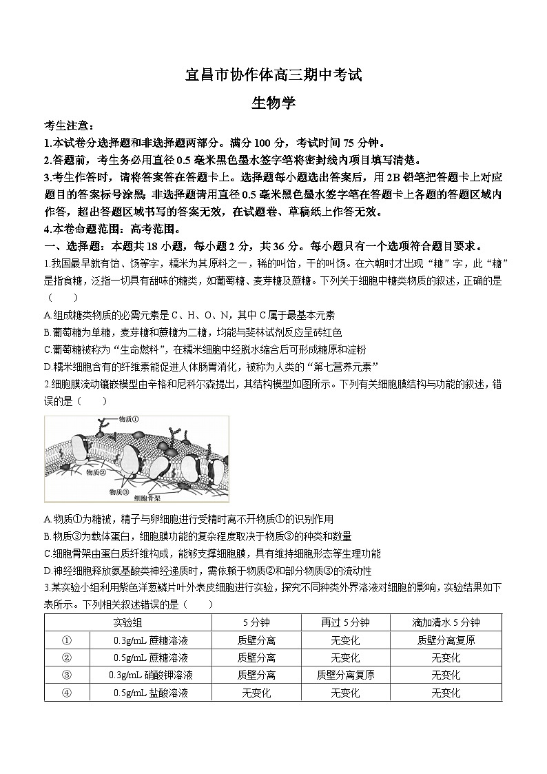 湖北省宜昌市协作体2023-2024学年高三上学期期中生物试题01