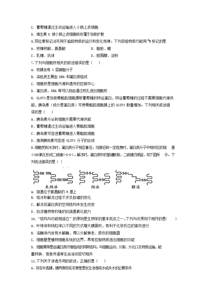 江苏省南京市第九中学2023-2024学年高一上学期期中生物试卷第2页