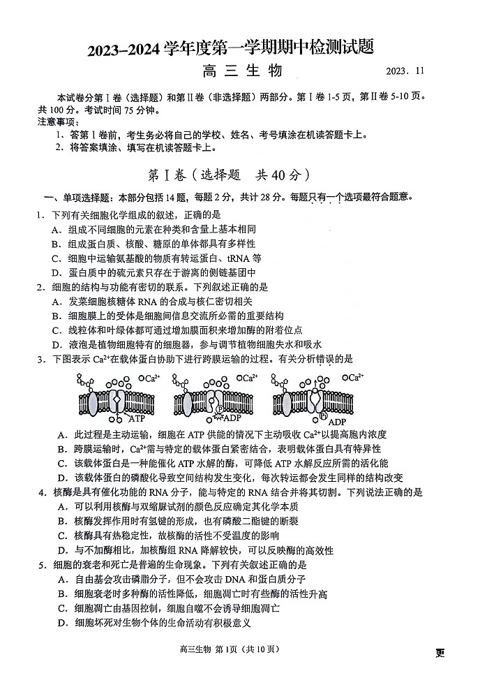 江苏省扬州市2023-2024学年高三上学期11月期中生物试题01