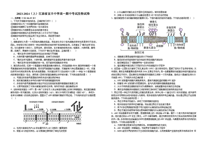 江西省宜丰中学2023-2024学年高一上学期11月期中生物试题01
