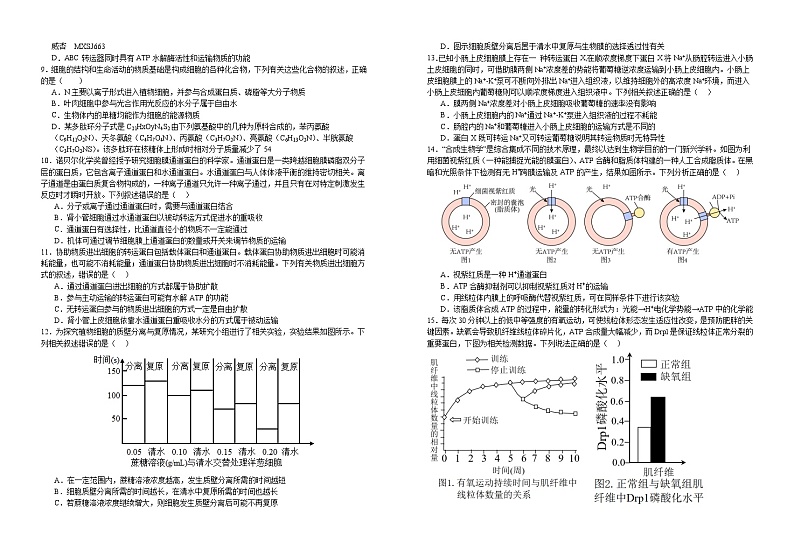 江西省宜丰中学2023-2024学年高一上学期11月期中生物试题02
