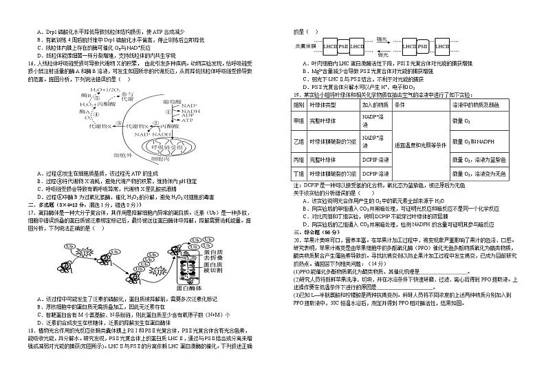 江西省宜丰中学2023-2024学年高一上学期11月期中生物试题03