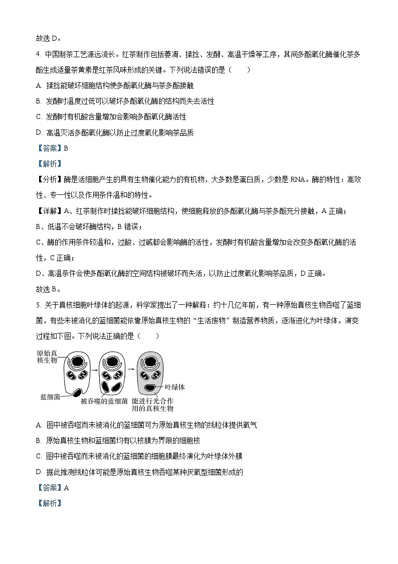 山东省泰安市2023-2024学年高三上学期期中生物试题（解析版）03