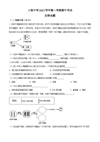 上海市上海中学2023-2024学年高三上学期期中生物试题（解析版）