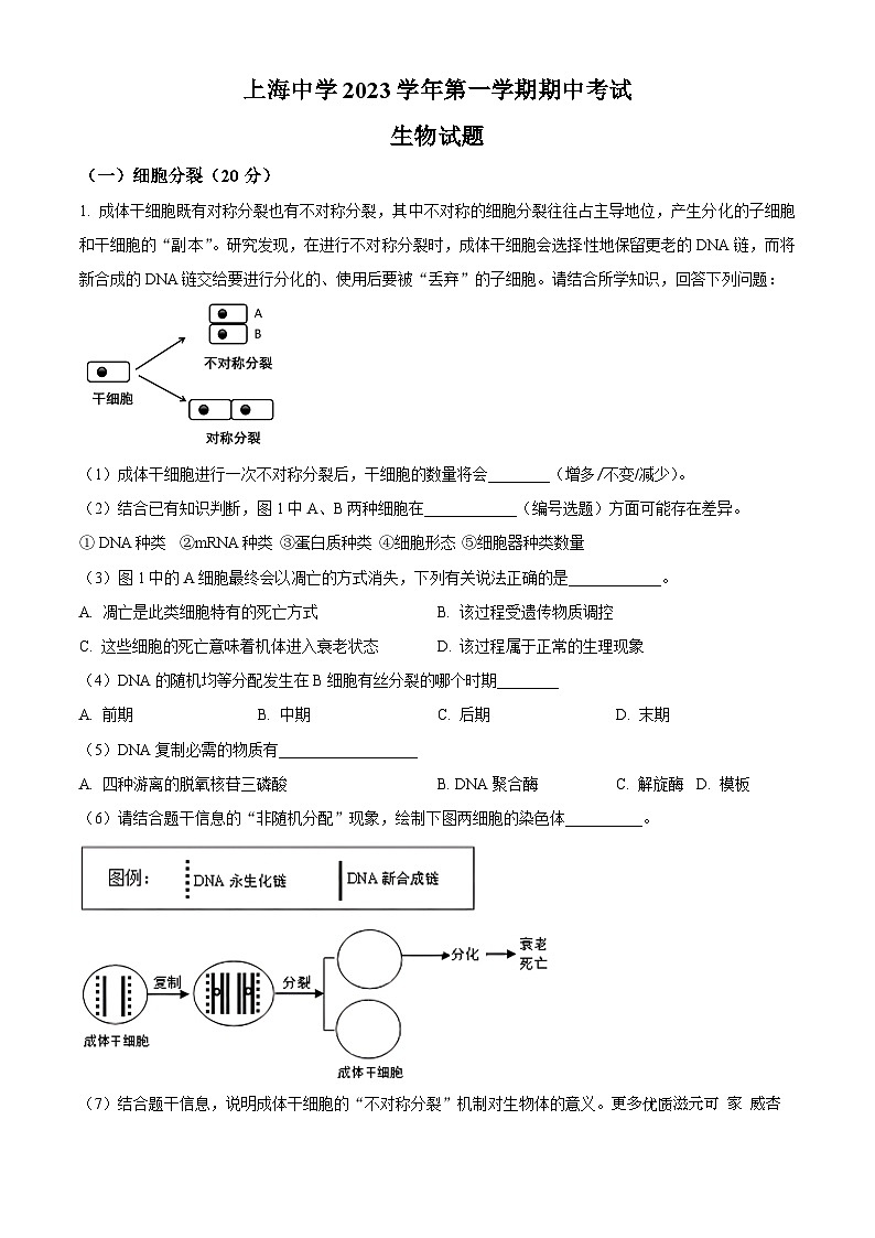 上海市上海中学2023-2024学年高三上学期期中生物试题（解析版）01