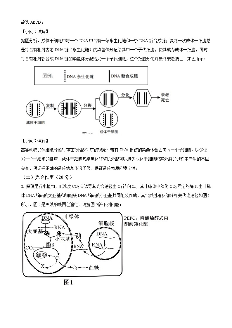 上海市上海中学2023-2024学年高三上学期期中生物试题（解析版）03