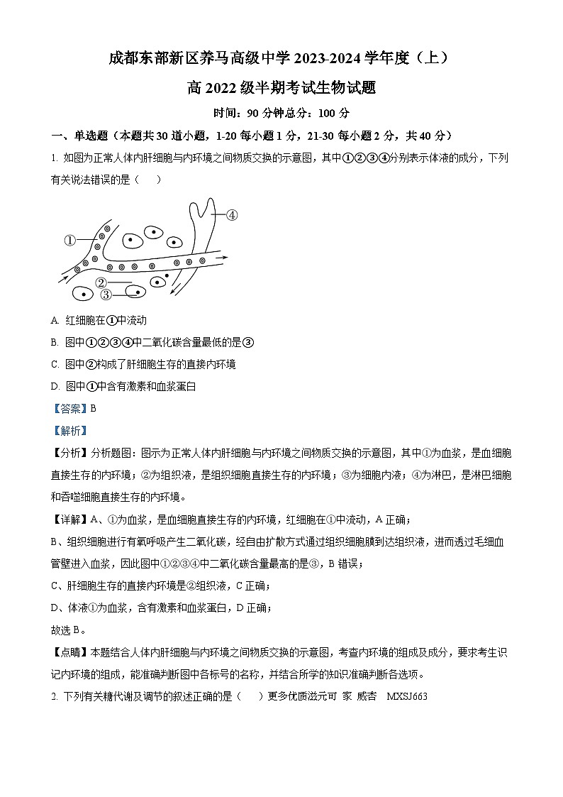 四川省成都东部新区养马高级中学2023-2024学年高二上学期期中生物试题（解析版）01