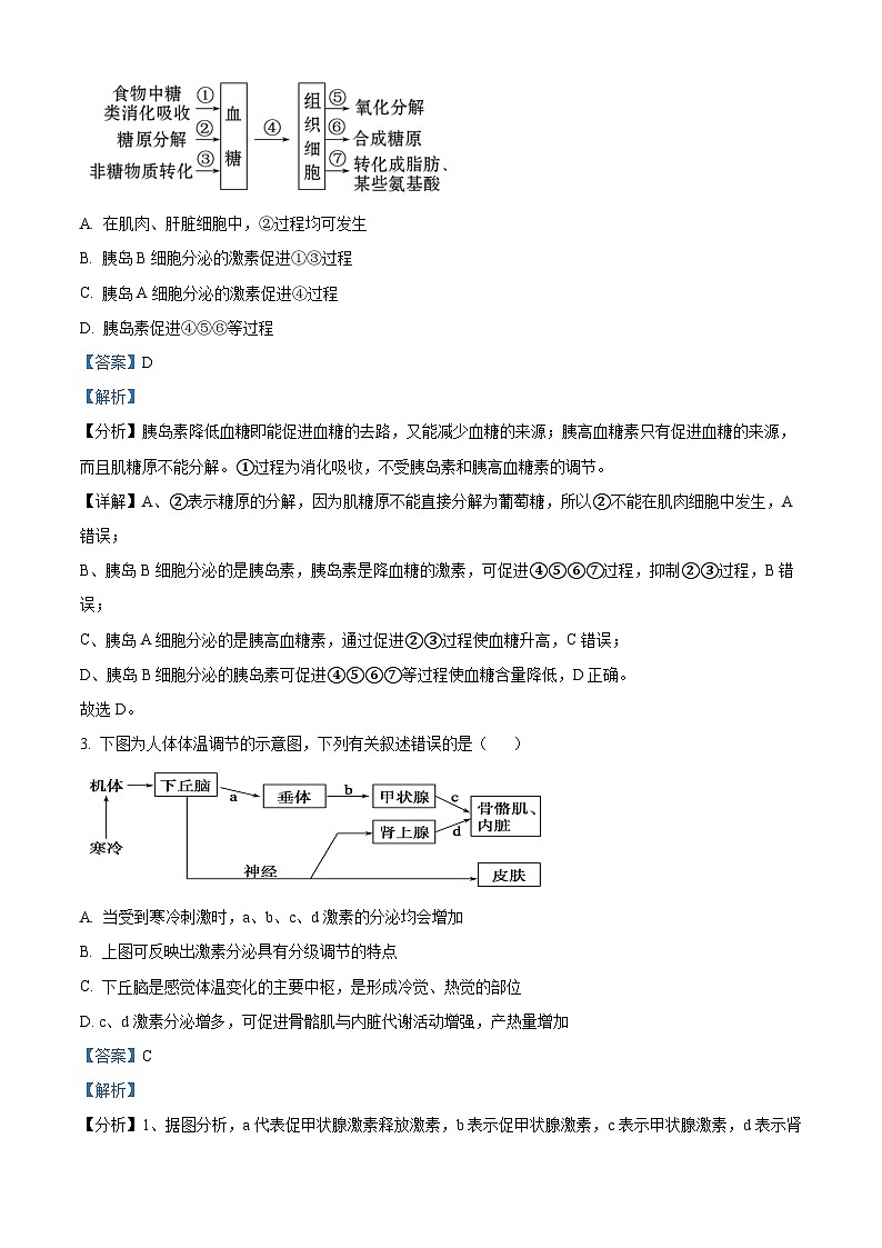 四川省成都东部新区养马高级中学2023-2024学年高二上学期期中生物试题（解析版）02