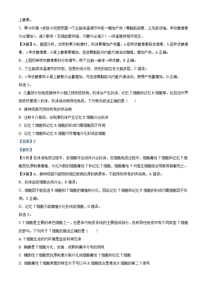 四川省成都东部新区养马高级中学2023-2024学年高二上学期期中生物试题（解析版）03