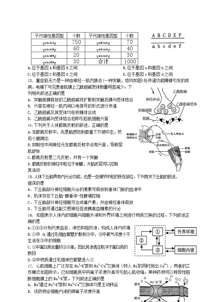 浙江省杭州师范大学附属中学2023-2024学年高二上学期期中检测生物试题第3页