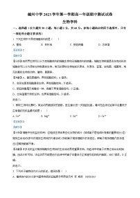 浙江省绍兴市越州中学2023-2024学年高一上学期期中生物试题（解析版）