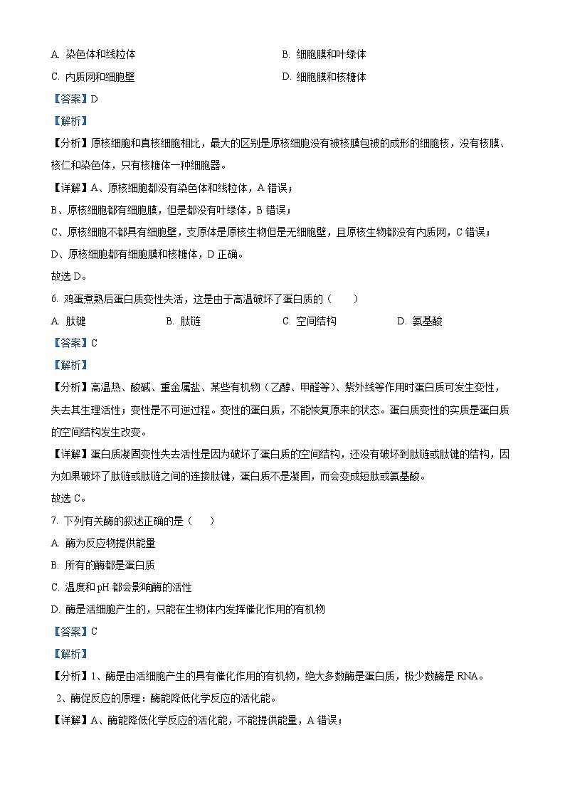 浙江省绍兴市越州中学2023-2024学年高一上学期期中生物试题（解析版）03