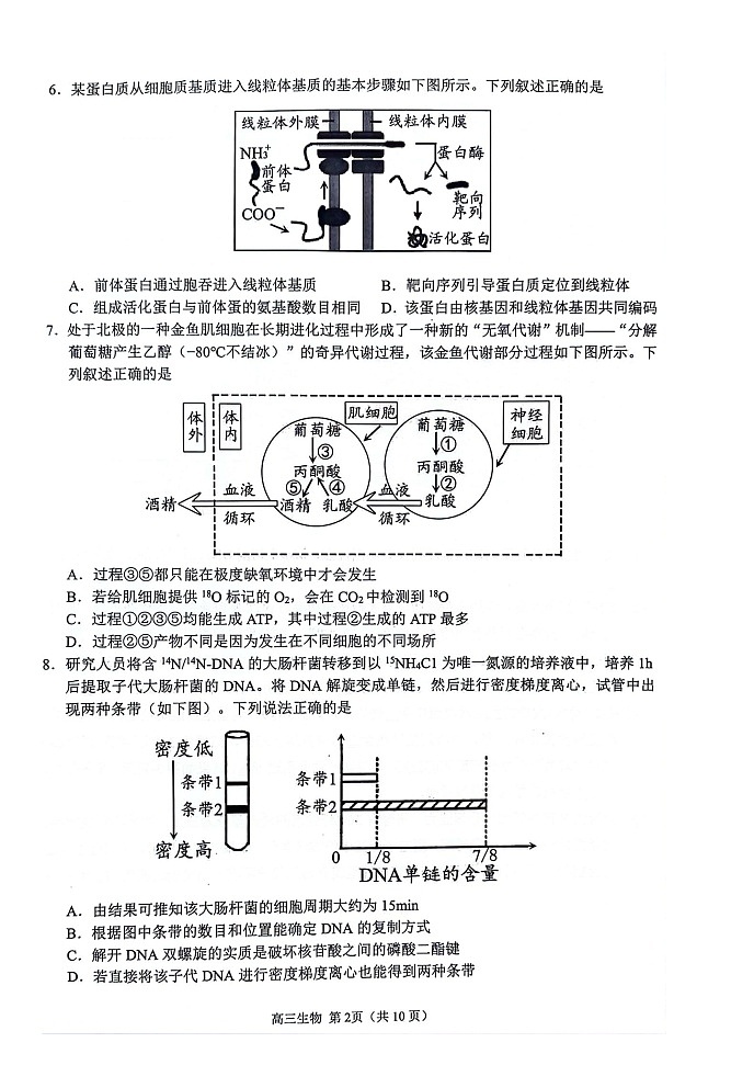 江苏省扬州市2023-2024学年高三上学期11月期中生物试题及答案02