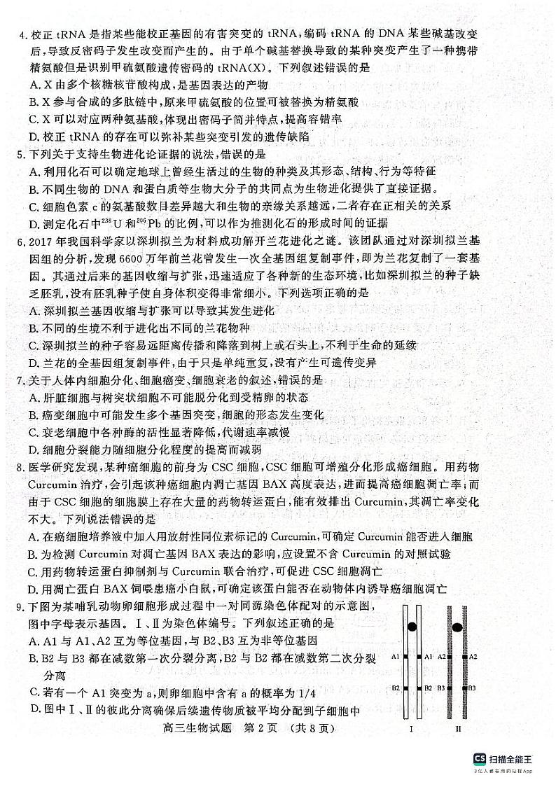 2024山东省名校考试联盟高三上学期期中检测生物PDF版无答案02