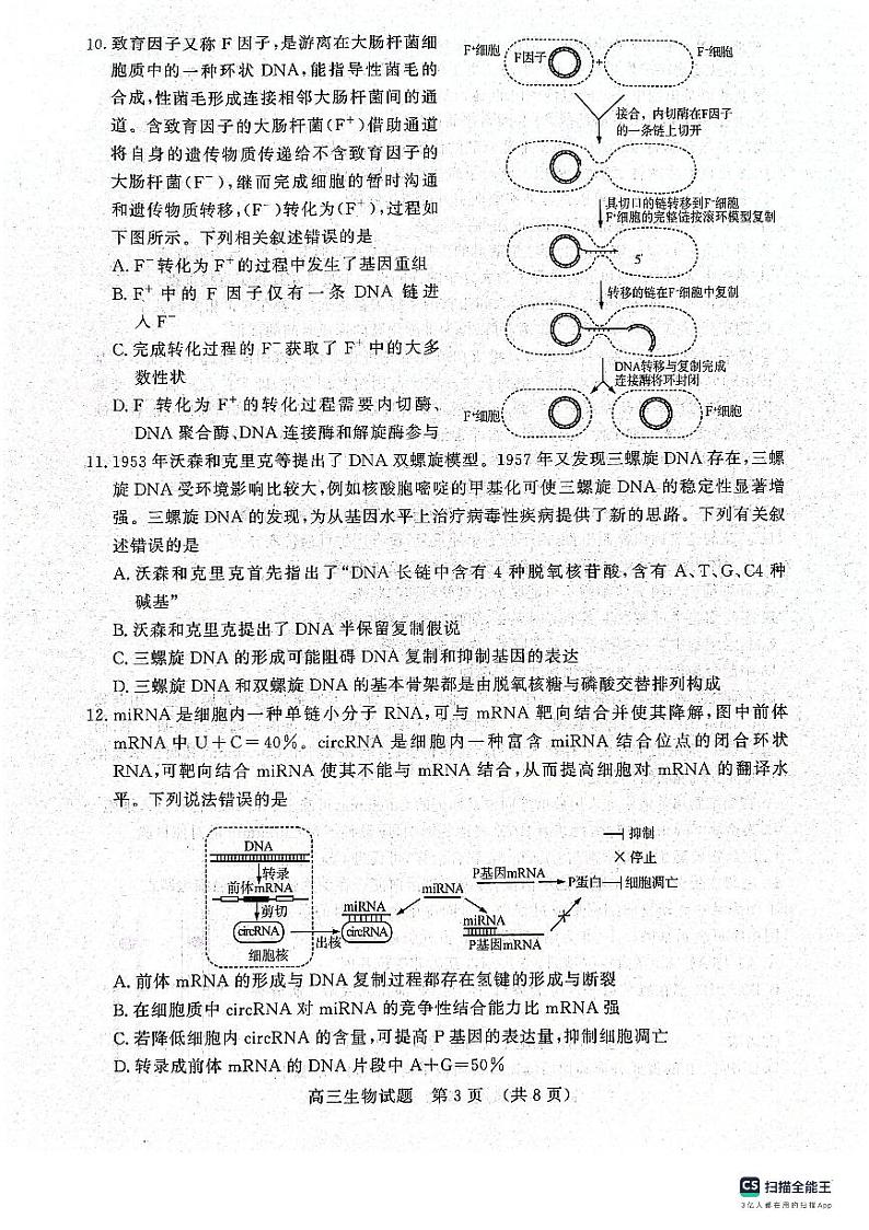 2024山东省名校考试联盟高三上学期期中检测生物PDF版无答案03