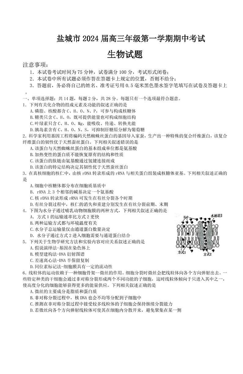 2024盐城高三上学期期中考试生物PDF版含答案第1页