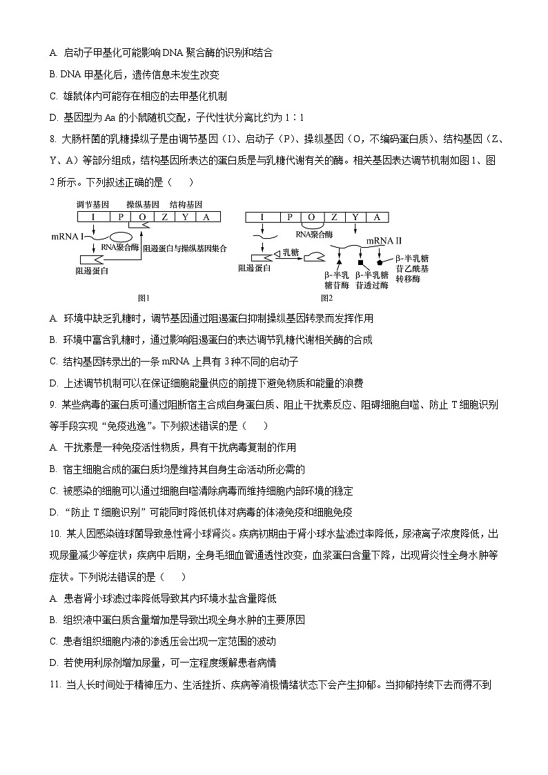2024武汉华中师范大学第一附中高三上学期期中生物试题含解析03