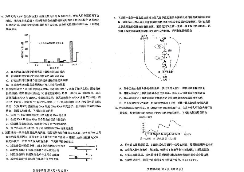 2024长春高三上学期质量监测（一）生物PDF版含答案02