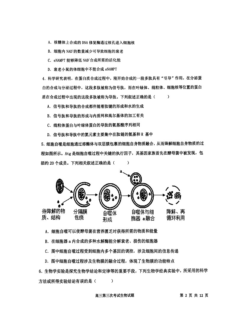 2024锦州高三上学期第三次考试生物图片版含答案02