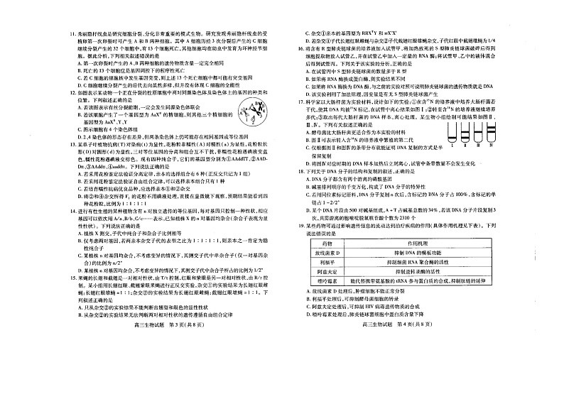 2024运城高三上学期11月期中考试生物图片版含答案02