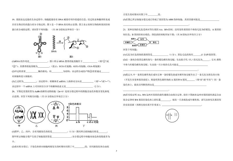 2024江西省宜丰中学高三上学期11月期中考试生物PDF版含答案03