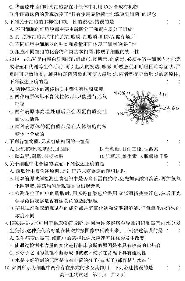 山东省济宁市兖州区2023-2024学年高一上学期期中考试生物学试题02