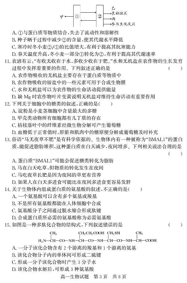 山东省济宁市兖州区2023-2024学年高一上学期期中考试生物学试题03