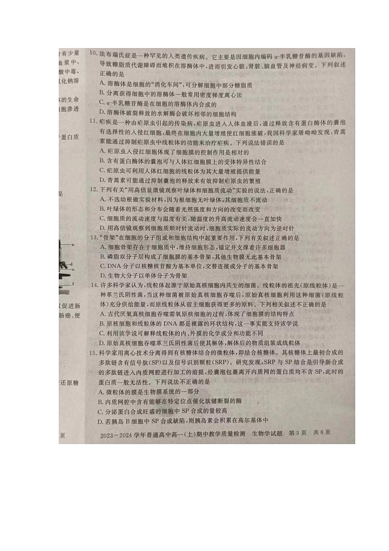 河南省信阳市2023-2024学年高一上学期11月期中生物试题03