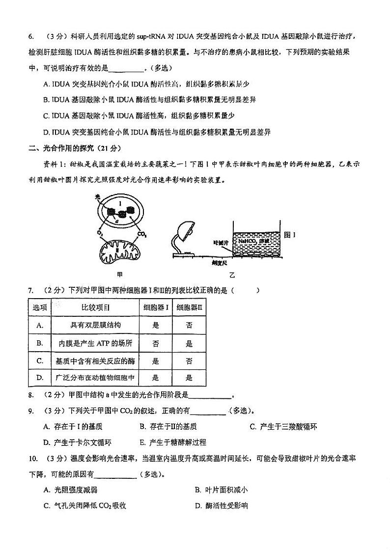 上海市建平中学2023-2024学年高二上学期期中考试生物试题（等级班）第2页