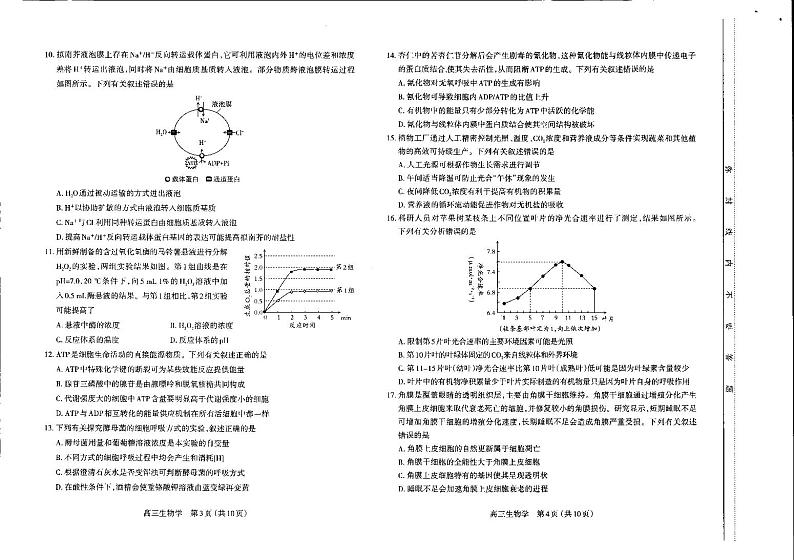 2024太原高三上学期期中学业诊断生物PDF版含答案 试卷02