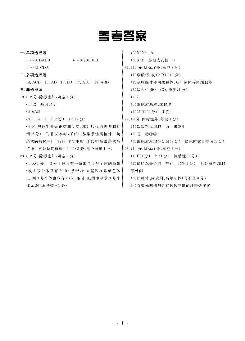 2024沧州部分高中高三上学期11月期中考试生物PDF版含答案01