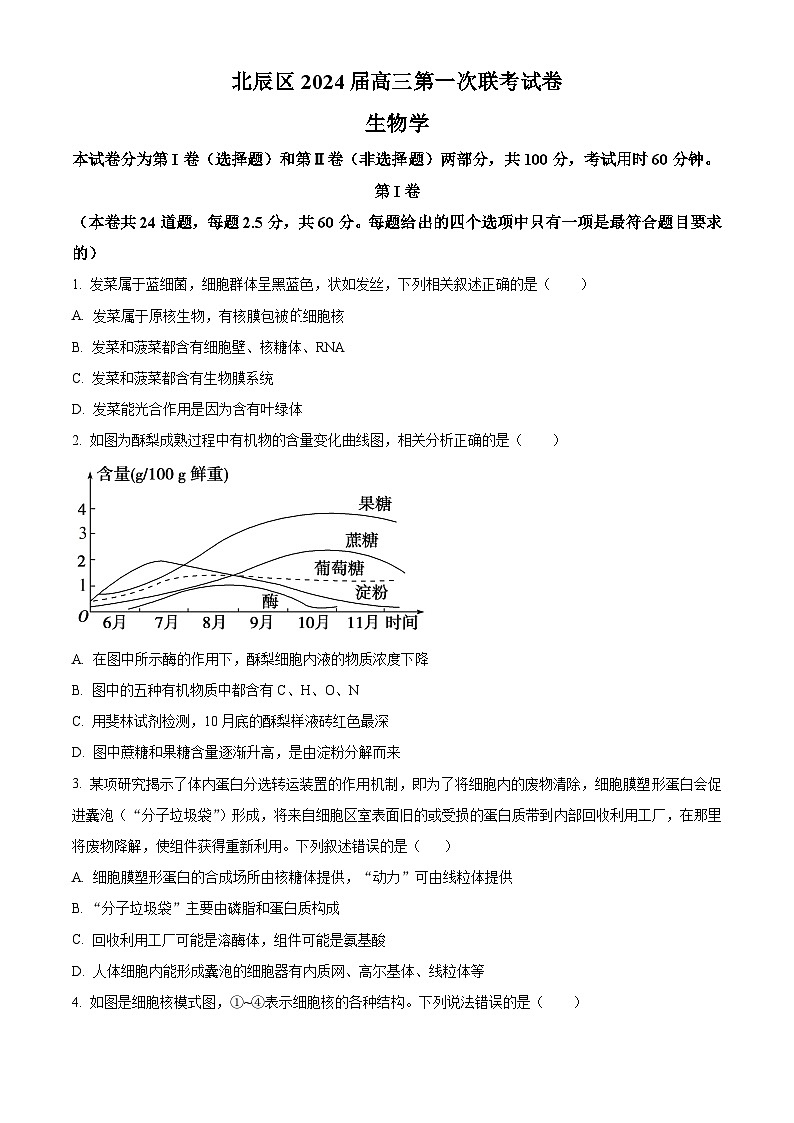 天津市北辰区2023-2024学年高三上学期期中生物试题（原卷版）第1页