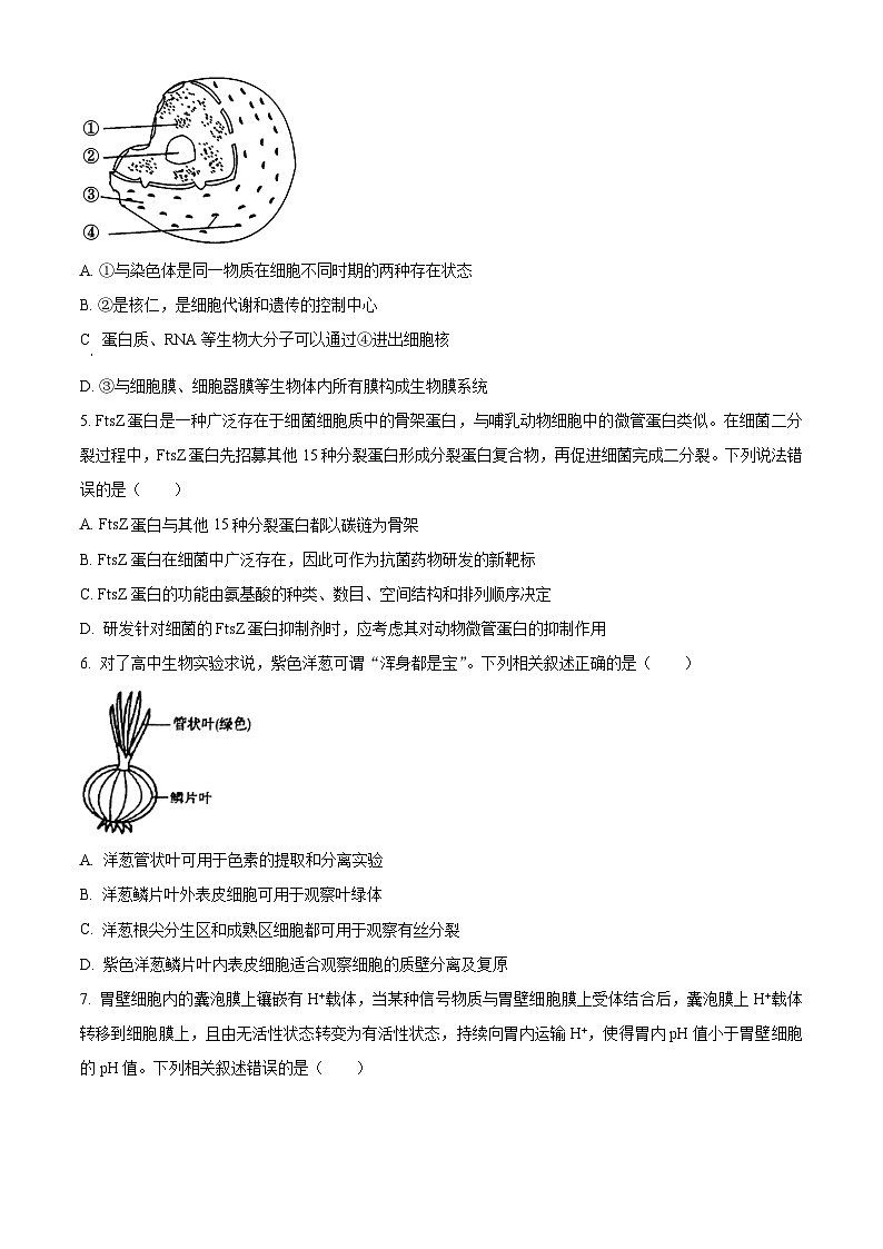 天津市北辰区2023-2024学年高三上学期期中生物试题（原卷版）第2页