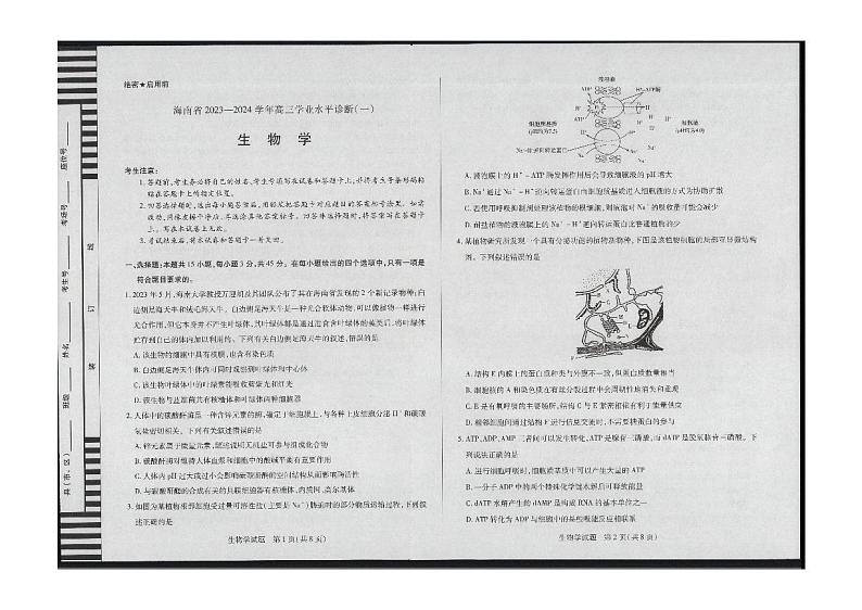 2024海南省高三上学期11月学业水平诊断（一）生物试题PDF版含答案01