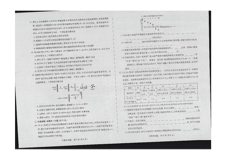 2024海南省高三上学期11月学业水平诊断（一）生物试题PDF版含答案03
