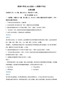 四川省成都市双流棠湖中学2023-2024学年高三11月期中生物试题（Word版附解析）