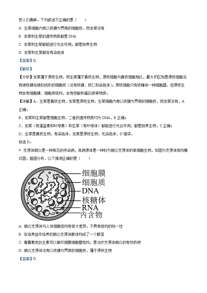 四川省内江市威远中学2023-2024学年高一上学期期中生物试题（Word版附解析）02