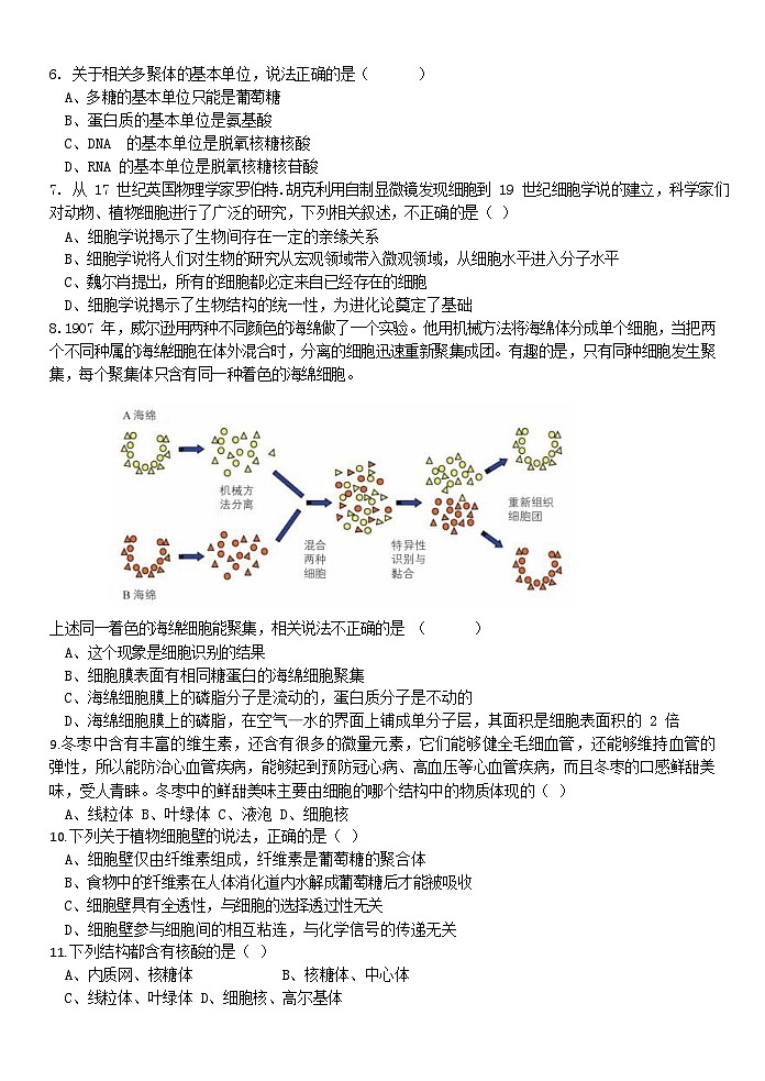 浙江省钱塘联盟2023-2024学年高一上学期期中联考生物试题（Word版附答案）02