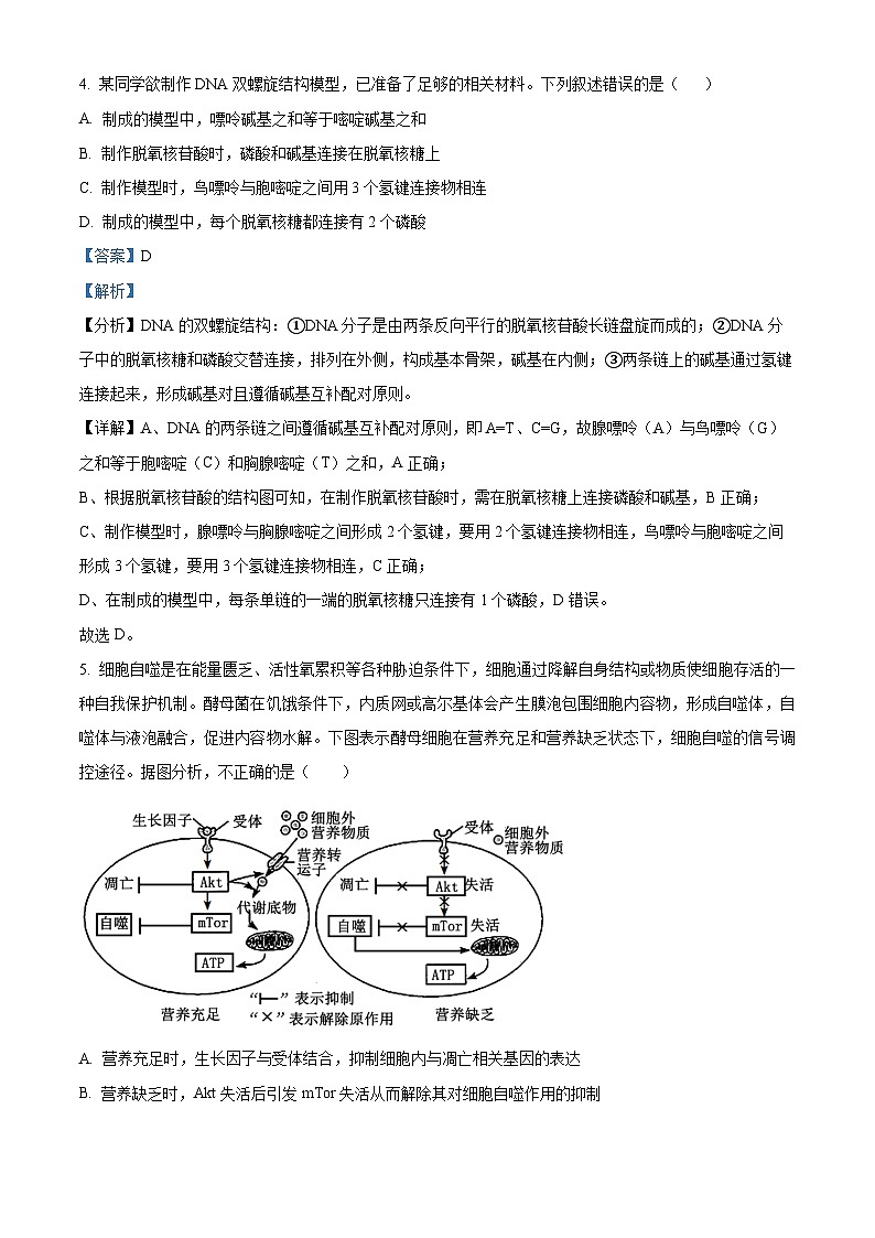 精品解析：江西省景德镇市2023-2024学年高三上学期第一次质量检测生物试题（解析版）第3页