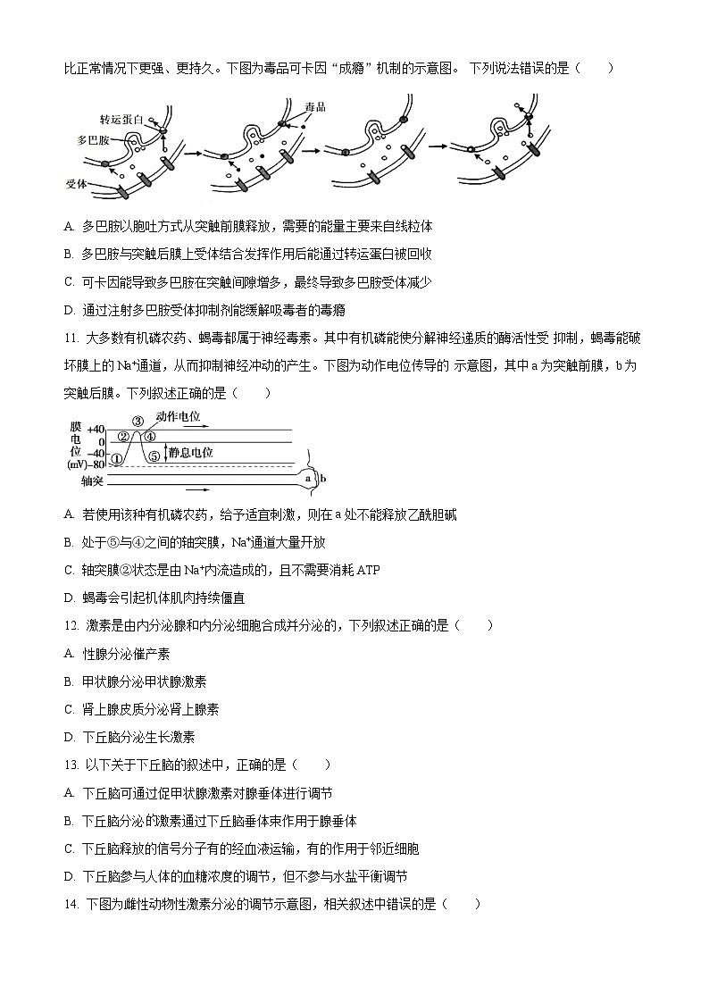 2024嘉兴八校联盟高二上学期期中联考生物试题含解析03