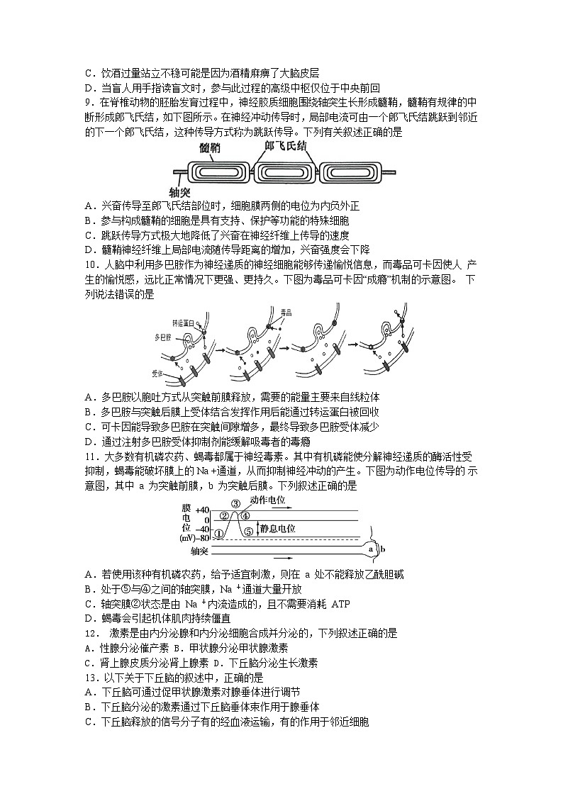 2024嘉兴八校联盟高二上学期期中联考生物试题含答案02