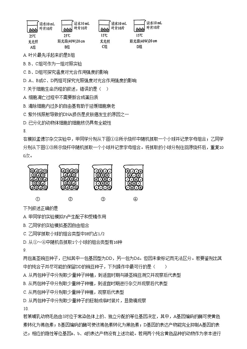 2024大理下关一中高二上学期期中生物试题含答案03