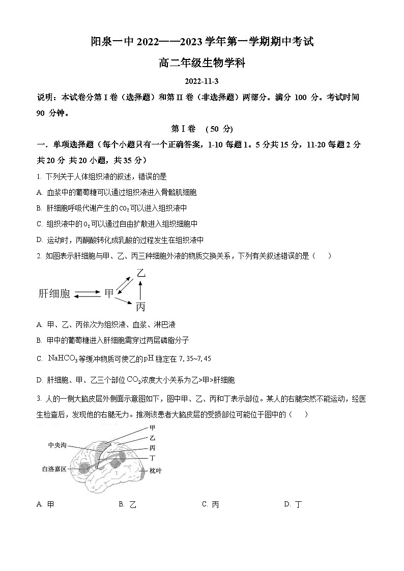 2023阳泉一中高二上学期期中生物试题含解析01
